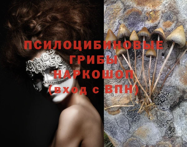 первитин Гусиноозёрск