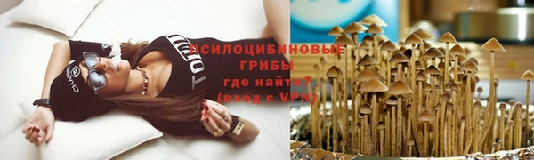 кристаллы Гусев