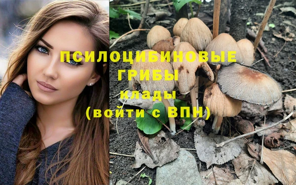 молекула духа Гусь-Хрустальный