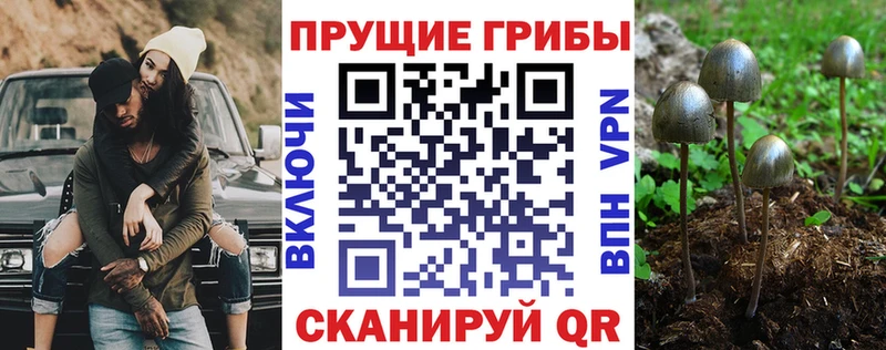 Псилоцибиновые грибы мухоморы Гудермес
