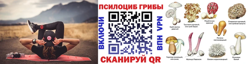 Купить закладки  Гудермес  Галлюциногенные грибы мицелий 